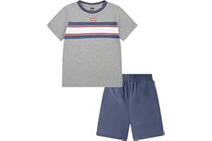 Levi's boys Boys' and Baby Graphic T-shirt and Shorts 2-piece Outfit Set