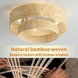 20" Boho Bamboo Small Caged Wicker Rattan DC Low