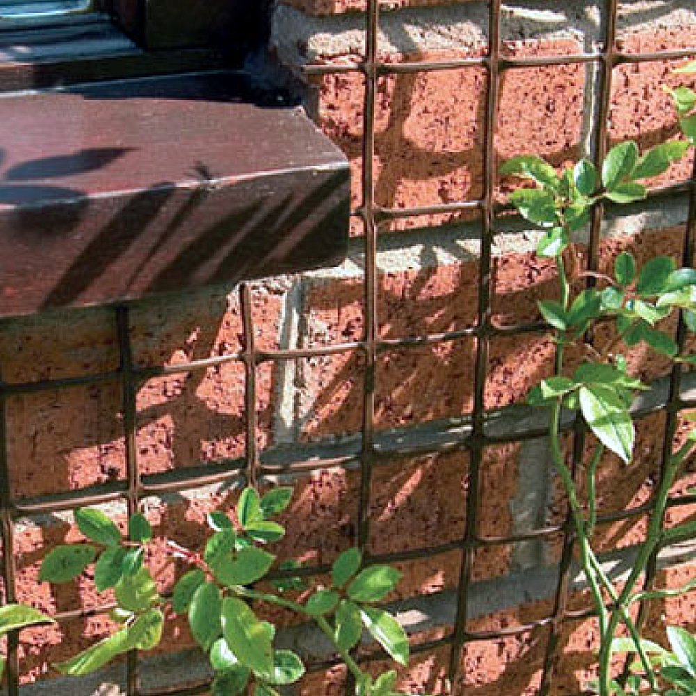 Climbing Plant Support Mesh Plastic Garden Net Clematis Pea Bean