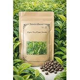 15 Tea Plant Seeds (Camellia Sinensis) &ndash; Tea Tree Seeds for Planting, Grow Your Own Green Tea, Black Tea &amp; Oolong, Non-GMO Garden Seeds
