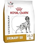 advantages of wet dog food Nutrientboost Meal or Topper Digestive Wet Food for Adult Dogs