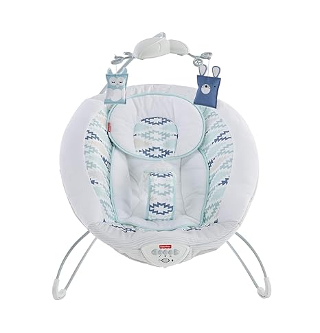 fisher price woodsy wonders deluxe bouncer