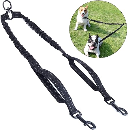 best two dog leash
