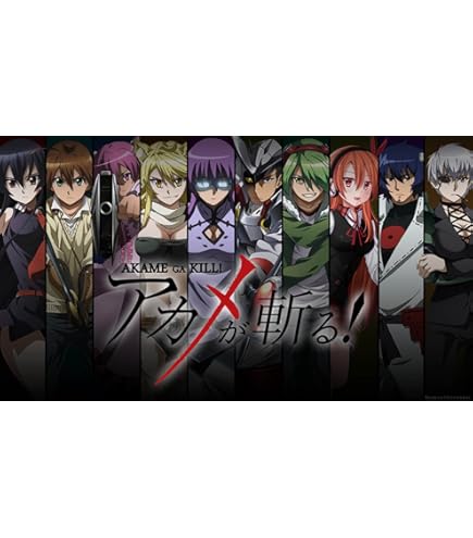 Amazon.com: Wall Station Akame ga Kill Customized 24x33 inch Silk