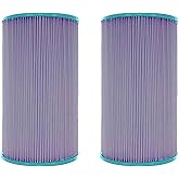 Hurricane Filters 2 Pack HF6430-01P Platinum Purple Spa Filter Cartridge - Replacement for PWK30, Unicel C-6430, Filbur FC-3915, Watkins Hot Spring Spas