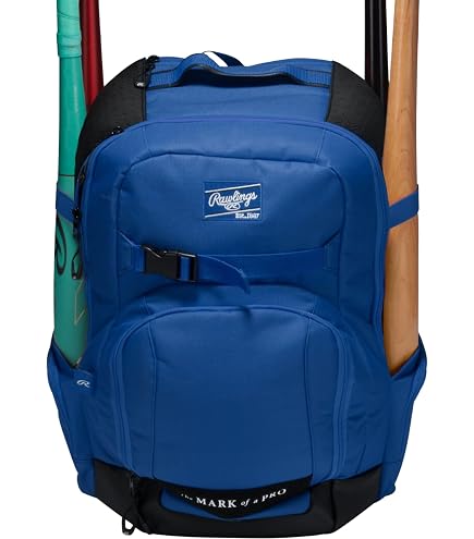 Amazon.com : Nike Diamond Bat Pack Select Baseball Backpack : Sports &  Outdoors