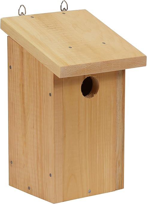 Amazon Com Hearthside Classics Diy Build Your Own Bluebird