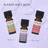 Tisserand Lavender Organic Essential Oil 9ml Massage Diffuser Skin Oil view 5