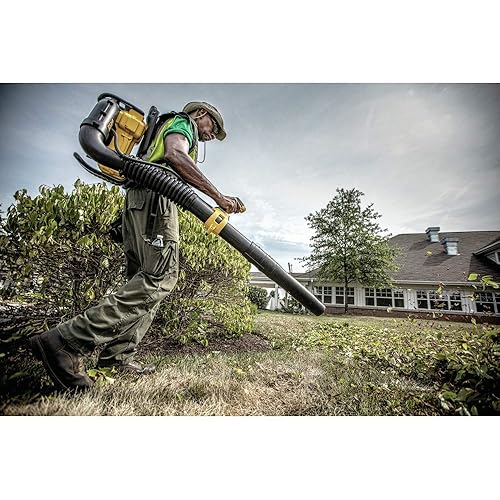 DEWALT 40V MAX* Backpack Leaf Blower (DCBL590X2) in Oman Whizz