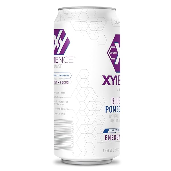 XYIENCE BLUEBERRY POMEGRANATE ENERGY DRINK, 16 FL OZ CAN (PACK OF 12)