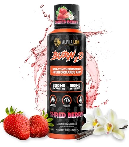 Amazon.com: VMI Sports L-Carnitine 1500 Heat Liquid Enhanced Thermogenic |  1500 mg Carnitine | Maximum Absorption Formula | Great Taste for Men &  Women | 31 Servings (Gummy Bear) : Health & Household