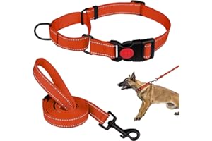 MTLIEPTE Martingale Dog Collar and Leash Set Martingale Collars for Dogs Reflective Martingale Collar for Small Medium Large Dogs(Orange&L)