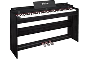 WENCAI 88 Key Fully Weighted Digital Piano Keyboard, 88 Keys Hammer Action Electric Pianos, Wooden Classic Upright Electronic Piano for Beginner, Professional, Midi Compatible, Triple Pedal (Black)