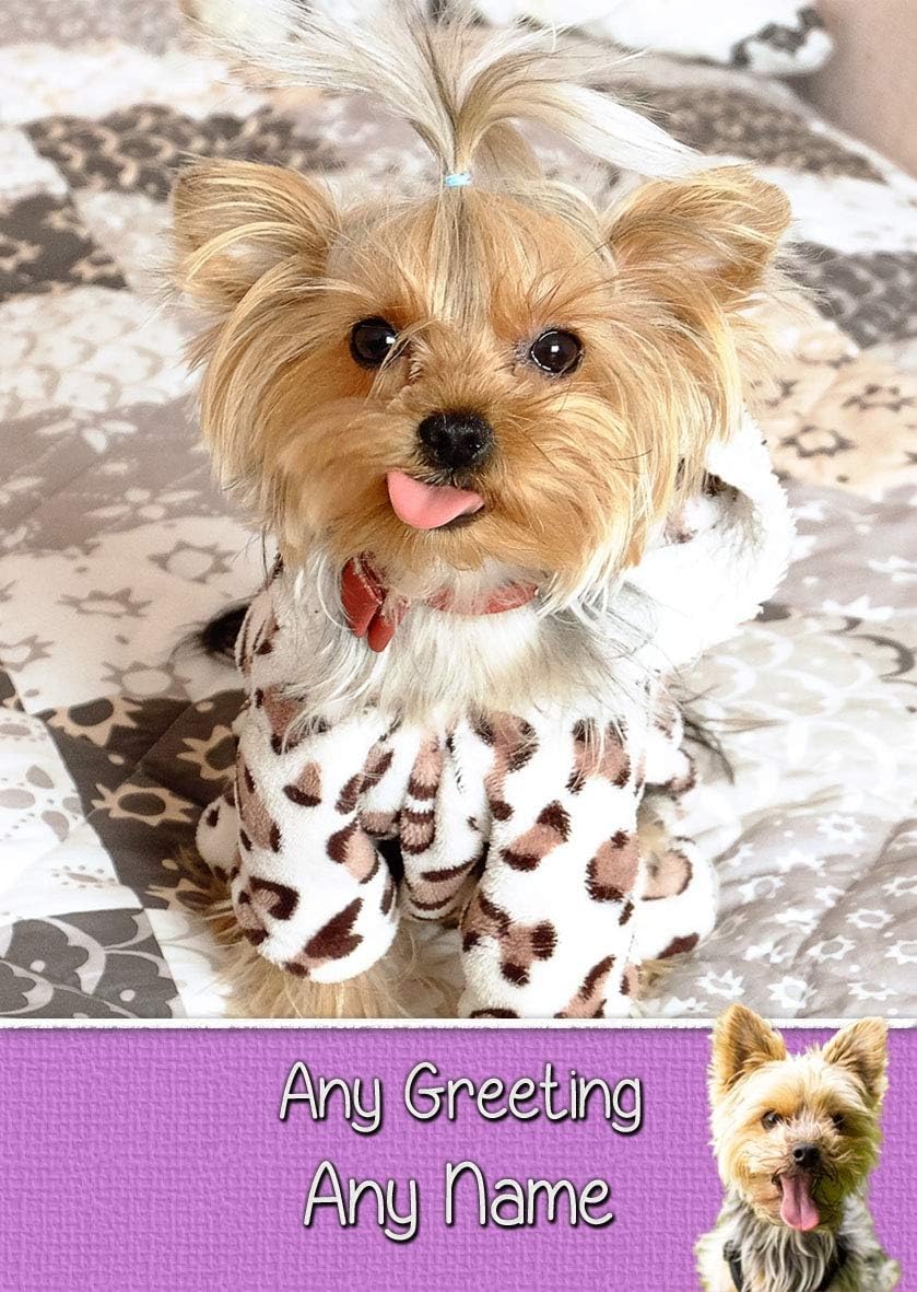 Fetes Occasions Speciales Plus Enveloppe Yorkshire Terrier Carte D Anniversaire Personnalise Maison Pokupec Hr
