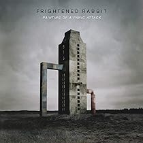 英2discs LP Various Tiny Changes: A Celebration Of Frightened Rabbits The Midnight Organ Fight 0190295525613 Atlantic /00660 41tpM4MWI2L.jpg_BO30,255,255,