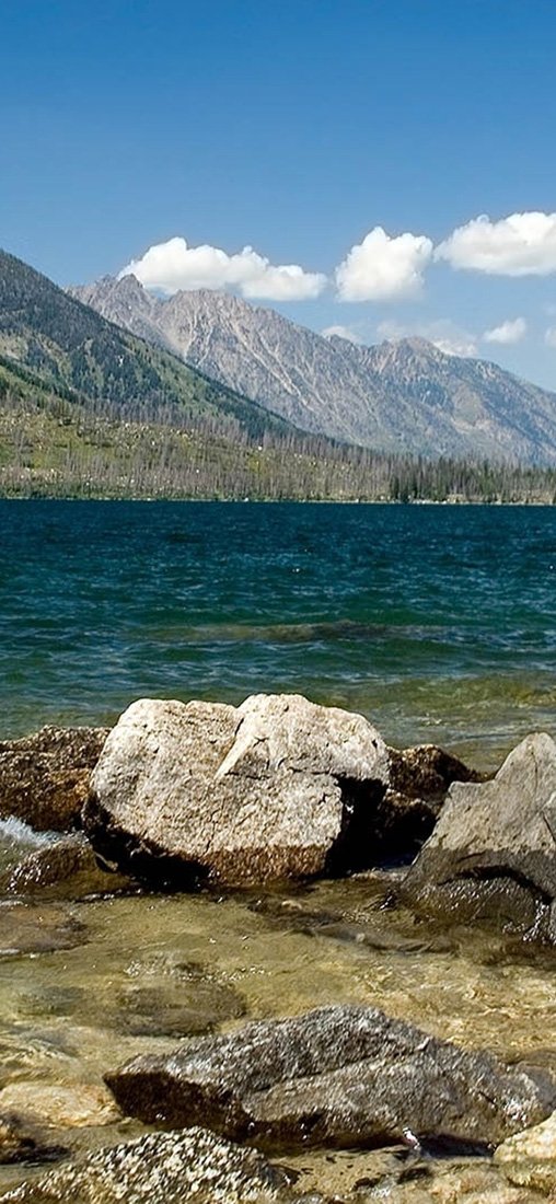 PeelitStickit, Beautiful Nature Wall Murals, ID-1223, vinyl