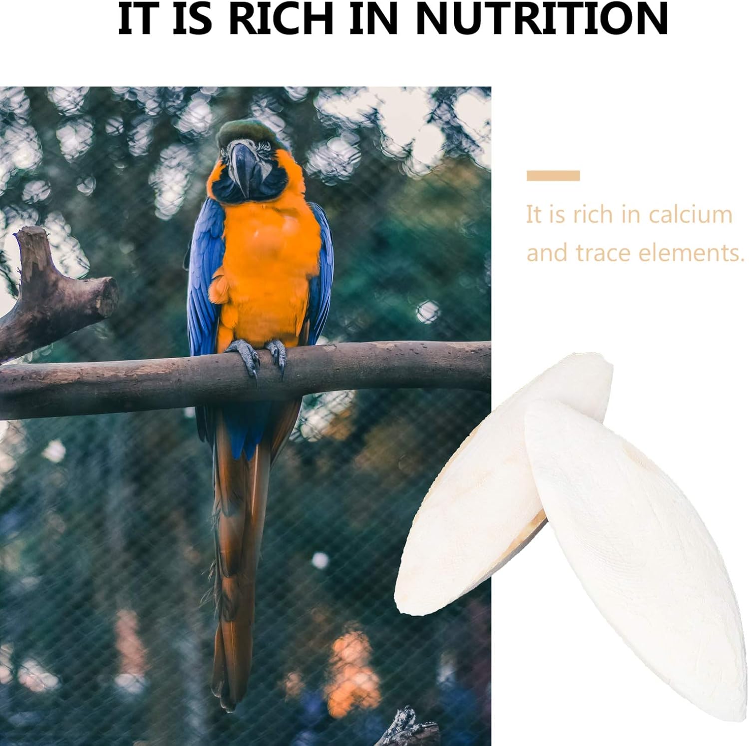 Iplusmile Natural 12pcs 10cm Conur Macaw Cockatiel Parakeets For Cuttlebone Bird Bone Cuttlefish Chewing Toys Chew Parrot Bone Cuddle Toys Birds Up To 70 Off Www Klevering Com