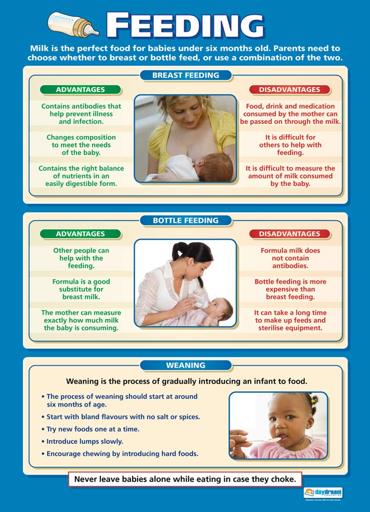 Feeding | Child Development Posters | Laminated Gloss Paper measuring 850mm x 594mm (A1) | Child Care Class Posters | Education Charts by Daydream Education