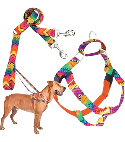 How To Put On Hounds Design Freedom No-Pull Dog Harness And