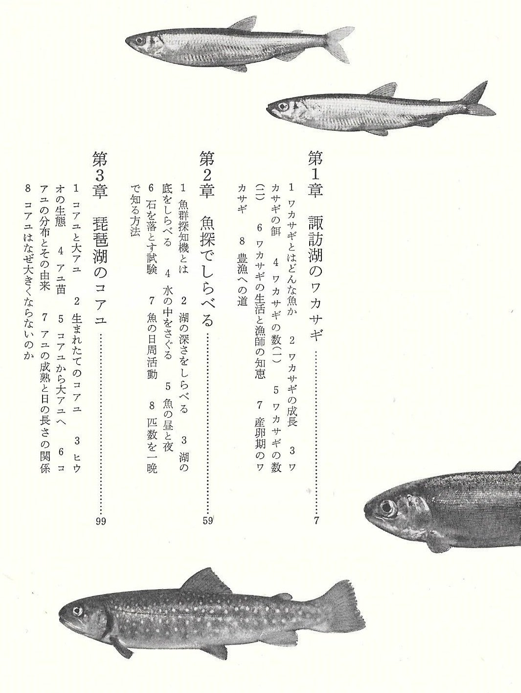 湖の魚 岩波科学の本 白石 芳一 本 通販 Amazon