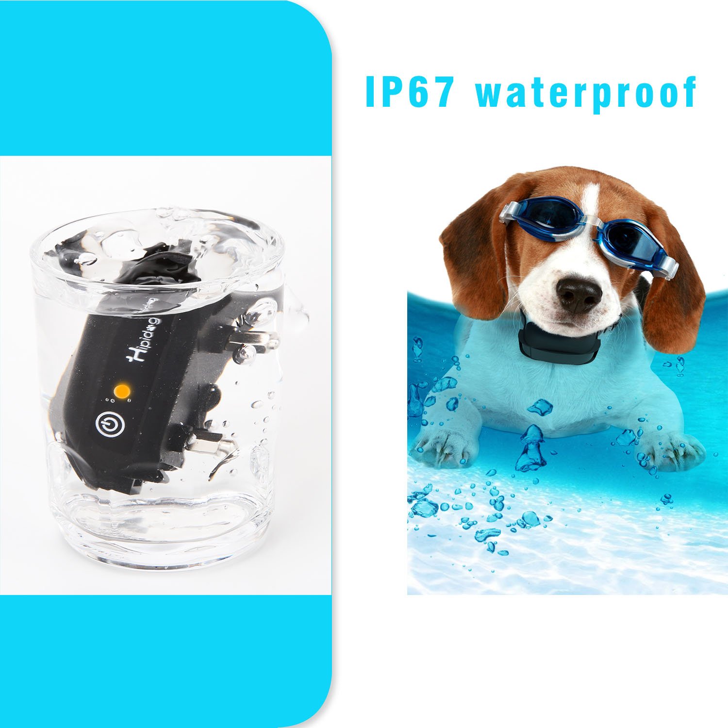 hipidog shock collar