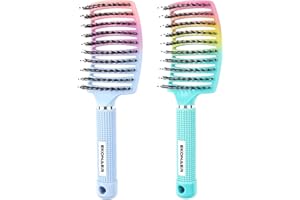 EKONAER 2 Pack Detangling Brush Getting Knots Out without Pain Adds Shine and Makes Hair Smooth,Detangler Boar Bristle Hair Brush for Adult & Kids Wet or Dry Hair(Green&Blue)