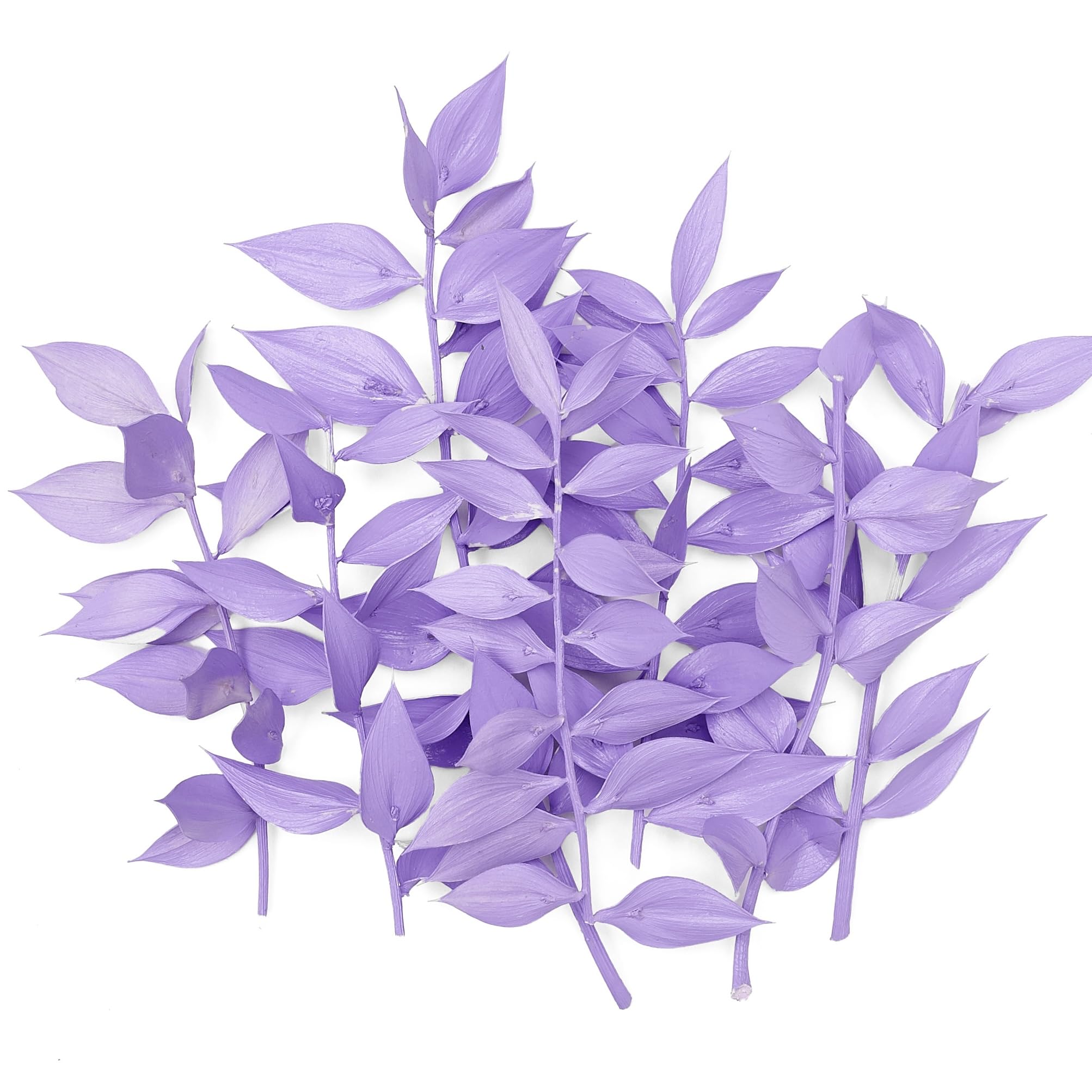 The Baked Studio - Original Dried Flower Ruscus Set For Cake & Cupcake Decorating & Others Crafts (Purple)