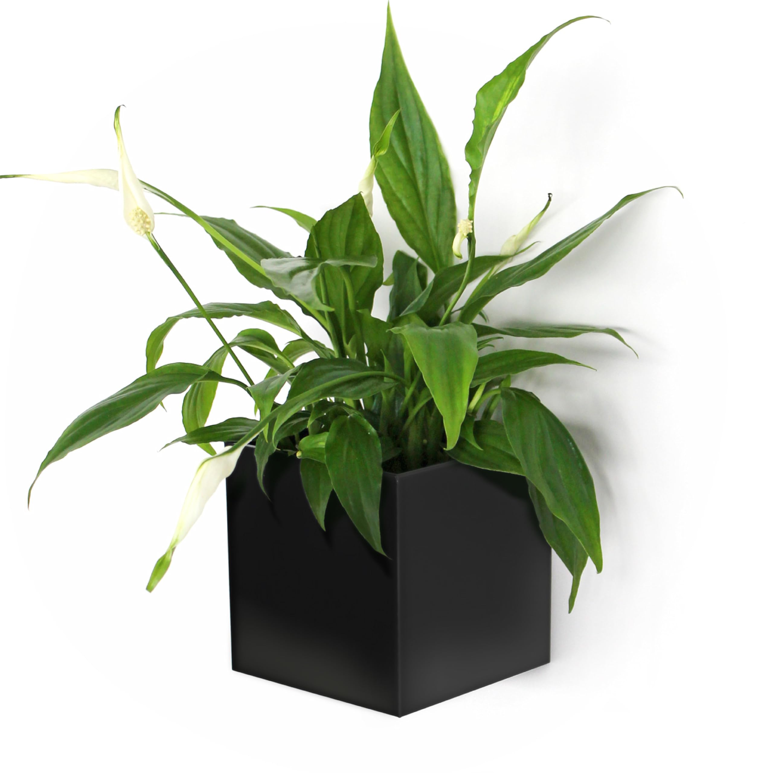 KalaMitica - Magnetic Cube, Cachepot, Marker Holder for Whiteboard, Organizer - Ø 9 cm, Black