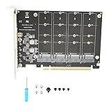 Dual M.2 PCIE Adapter, 4 Port M.2 NVME SSD to PCIE