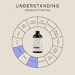 VINEVIDA [16 Fl Oz] Cucumber Mint Fragrance Oil for
