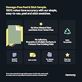 Hemway Misty Green Peel & Stick Chalk Paint Sample A5 Colour Swatch view 4