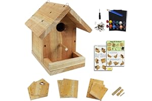 PONTUSS DIY Birdhouse Kit with Paint Set - Kids' Wood Craft Kits - Make a Bird House Kit for Kids - DIY Woodcraft Building Projects for Kids and Adults- STEM Teaching Tools