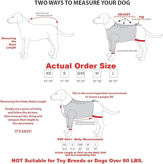 t shirt instead of cone for dog