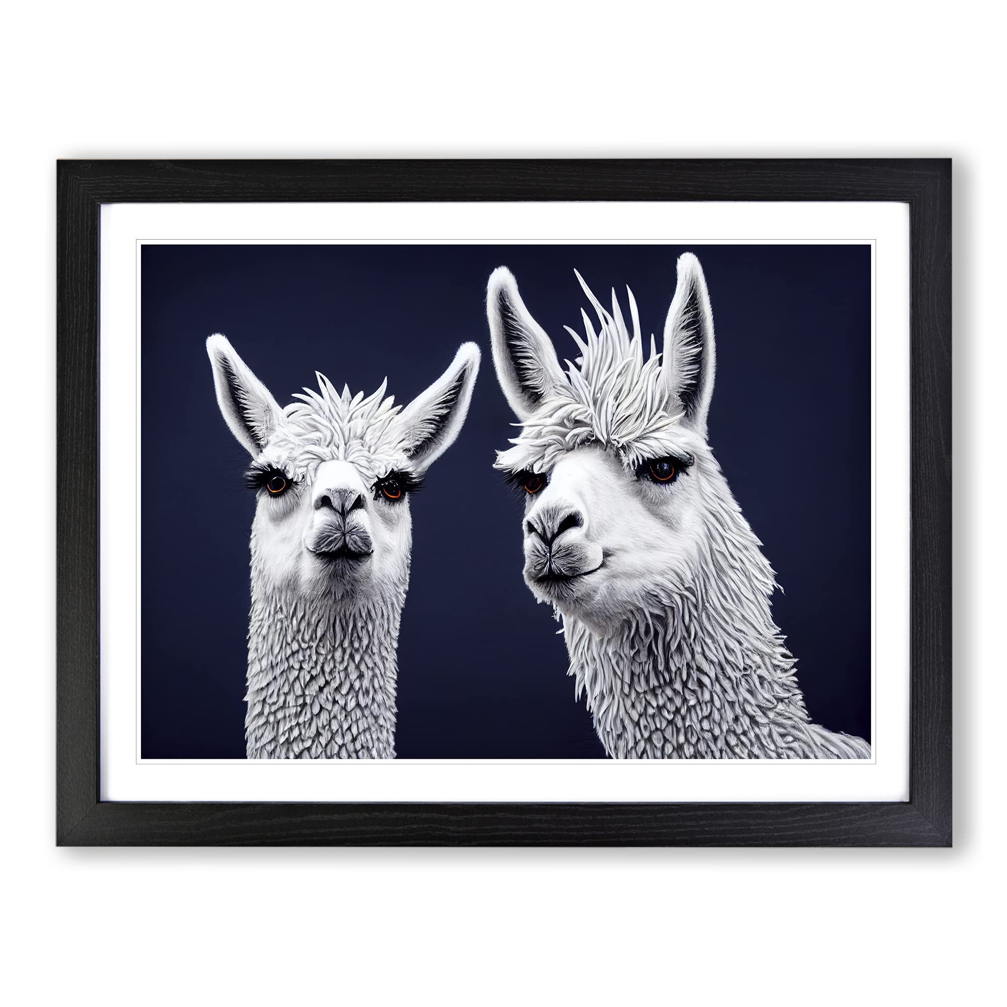 The Two Llamas Vol.3 Framed Print | A4 Black Framed Wall Art | Ready to Hang | Modern Animal Picture | Living Room Bedroom Lounge Office
