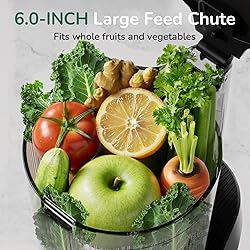 Canoly C16 Cold Press Juicer, 6" Extra Wide Feed