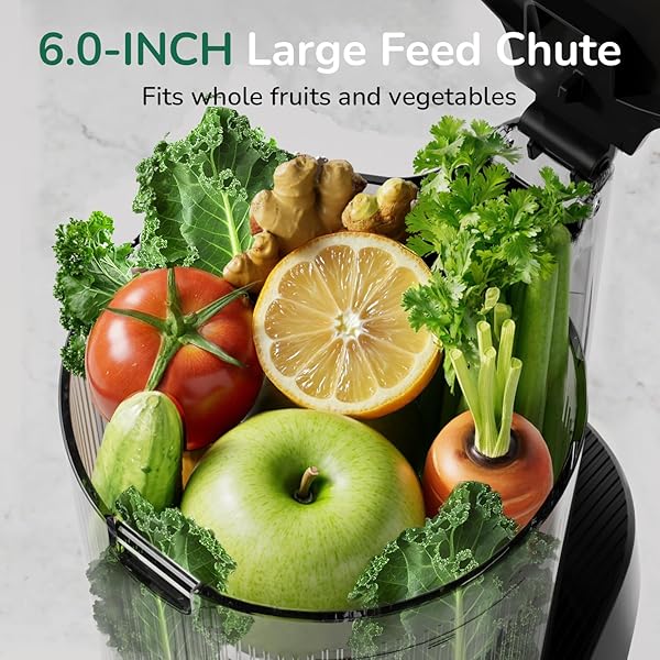 CANOLY C16 COLD PRESS JUICER, 6″ EXTRA WIDE FEED CHUTE, 3-IN-1 STRAINERS (JUICE & SORBET & NUT MILK), POWERFUL AC BRUSHLESS MOTOR, SELF PRECUT SYSTEM, JUICER MACHINES WITH BPA-FREE (SPACE GRAY)