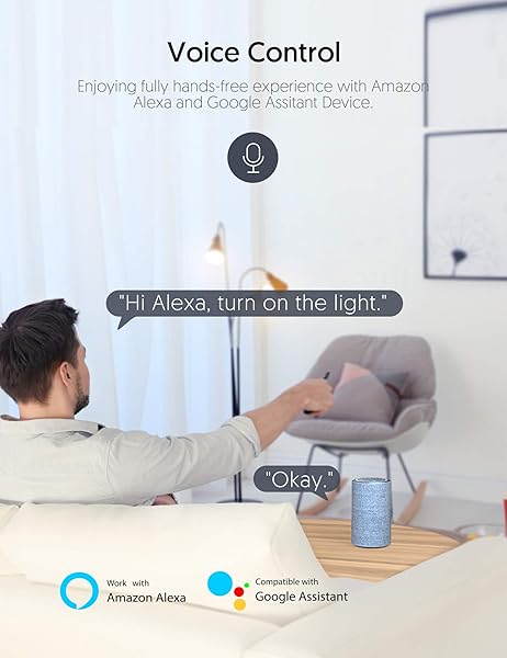 Enchufe Inteligente Zoozee WiFi Enchufe Smart 16A Inteligente Plug Compatible con Google Home Amazon Alexa App Control en Cualquier Lugar y Tiempo No Requiere Hub 2 pack