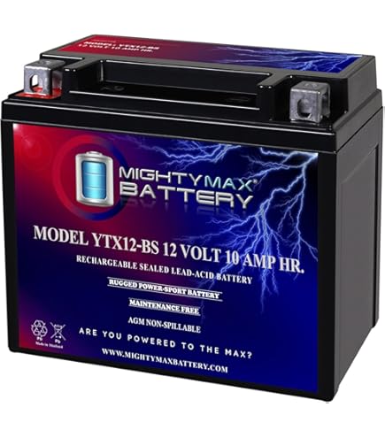 Amazon.com: Mighty Max Battery YTX12-BS Battery for HONDA TRX250