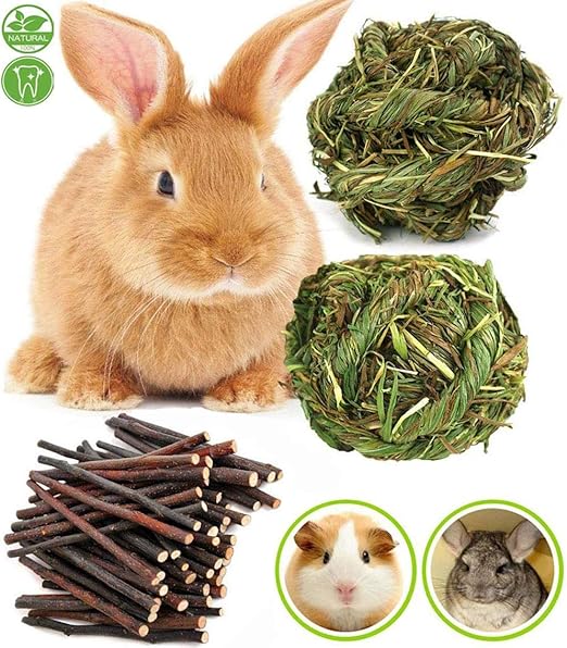 juguetes para conejos amazon