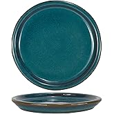 W&W Ceramic Plant Saucer - Plant Trays for Indoor Pots (Teal, 8 inches, 2 Packs)