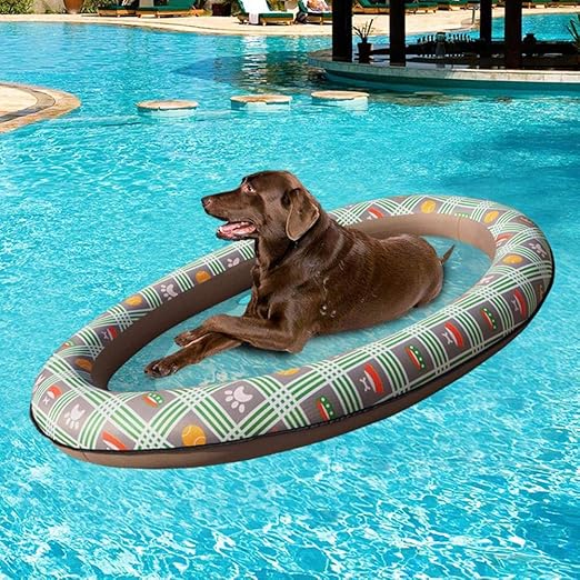 dog swim float