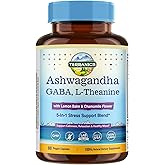 Terranics Ashwagandha L-Theanine Supplement for Stress Relief, Combined with GABA, Lemon Balm, Chamomile Flower Extract, Non-GMO, Stay Calm & Relaxed, Boost Cognitive Function, 60 Vegan Capsules