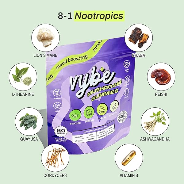 VYBE DAILY NOOTROPIC GUMMIES – 8-IN-1 MUSHROOM & ADAPTOGEN BRAIN SUPPLEMENT FOR FOCUS, ENERGY, AND MOOD WITH LION’S MANE, CORDYCEPS, REISHI, CHAGA, ASHWAGANDHA (BLUEBERRY, 60-COUNT)