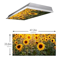 Drop Ceiling Light Covering Insert 4' x 2' feet