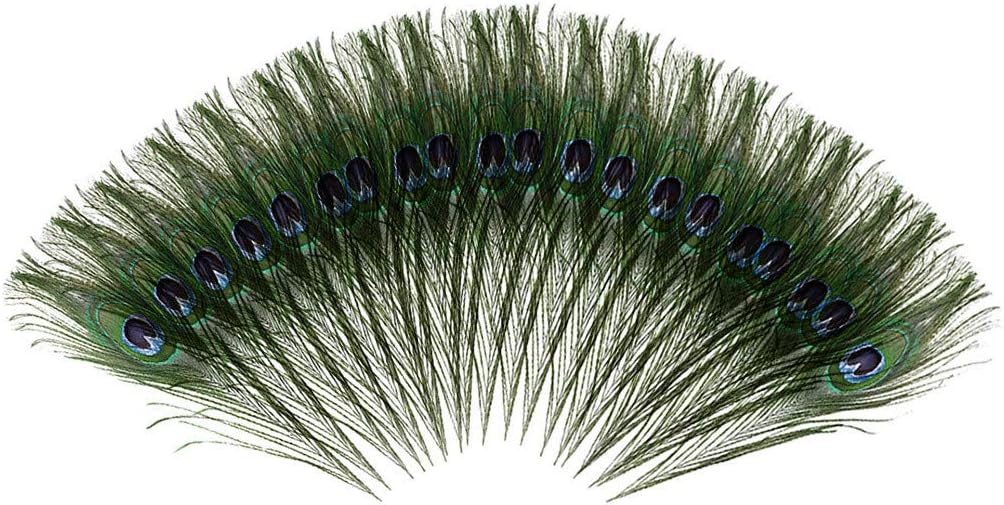Crytech 5/8/20Pcs Real Natural Peacock Tail Eyes Feathers for Wedding Party Arts and Crafts Bridesmaid Corsage Christmas Wreath Home Decorations DIY Halloween Costume 10-12 Inch