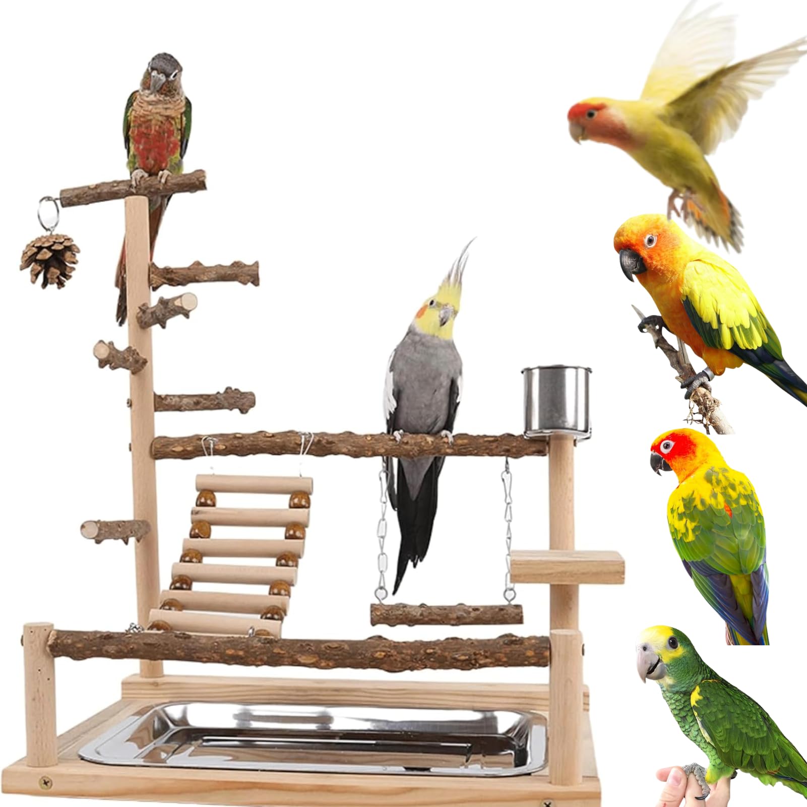 Photo 1 of GOVNPJ Bird Playground with Feeder Cups, Wooden Parrot Play Stand for Cockatiel, Parakeet