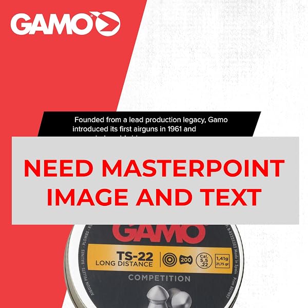GAMO AIR RIFLE PELLET COMBO PACK – .177 OR .22 CALIBER PERFORMANCE PELLETS WITH HUNTER, MAGNUM, MASTER POINT AND MATCH STYLES FOR TARGET SHOOTING AND HUNTING.