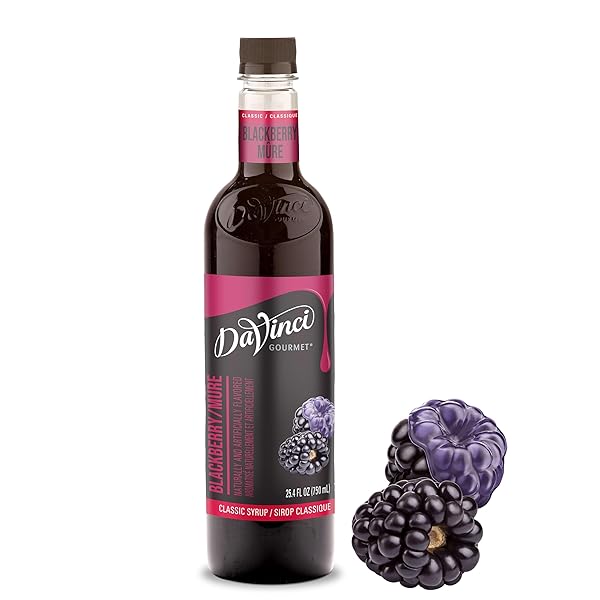 DAVINCI GOURMET CLASSIC BLACKBERRY SYRUP, 25.4 FLUID OUNCES (PACK OF 1)