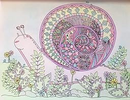 Amazon.com: Wonders: A Coloring Collection (9781515313885): Nicole