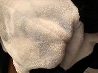 Review Image by Graciela Valdez Graciela Valdez